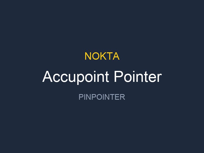 Accupoint Pointer