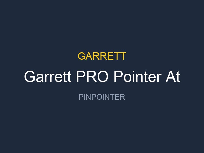 Garrett PRO Pointer At