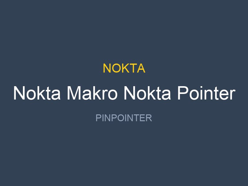 Nokta Makro Nokta Pointer