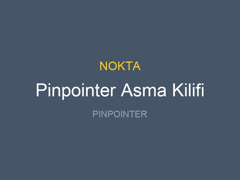 Pinpointer Asma Kilifi