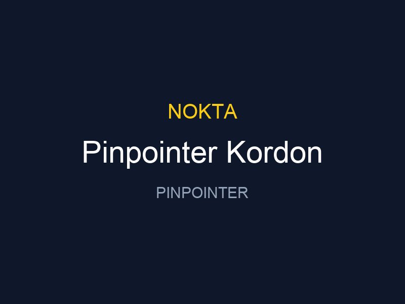 Pinpointer Kordon